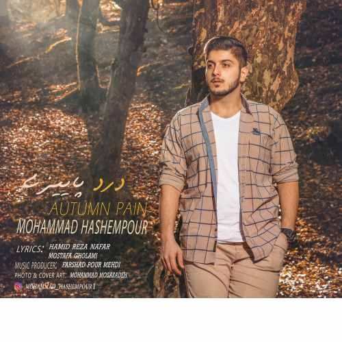 محمد هاشم پور