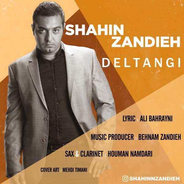 شاهین زندیه دلتنگی