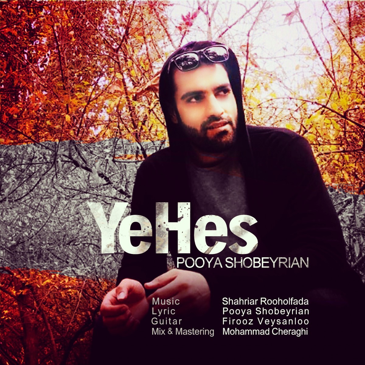 پویا شبیریان یه حس