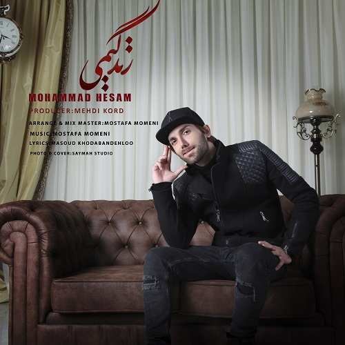 محمد حسام زندگیمی