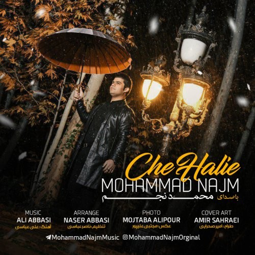 محمد نجم چه حالیه
