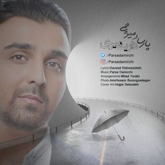 داری میری پارسا دمیرچی