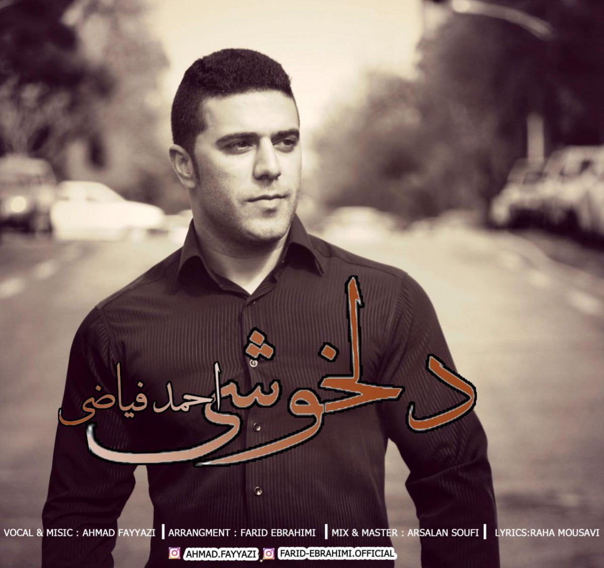 احمد فیاضی دلخوشی