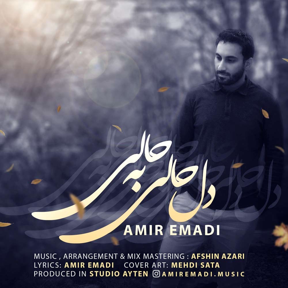 امیر عمادی دلِ حالی به حالی