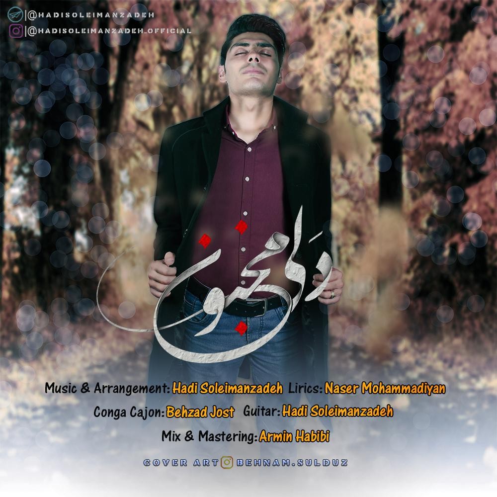 هادی سلیمان زاده دلی مجنون