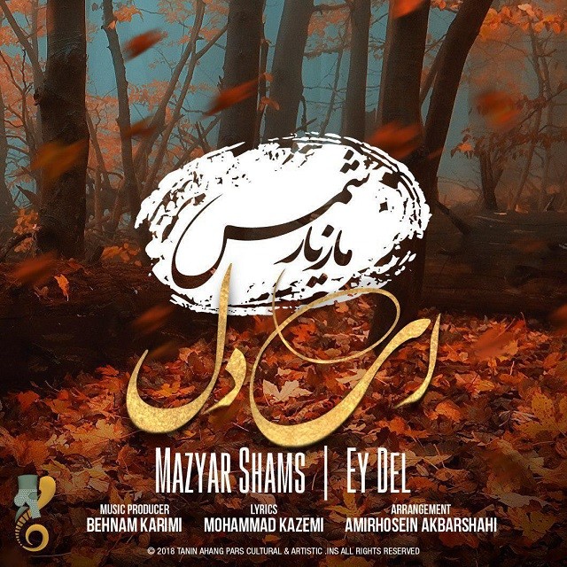 مازیار شمس ای دل