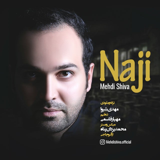 مهدی شیوا ناجی