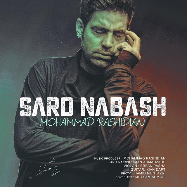 محمد رشیدیان سرد نباش