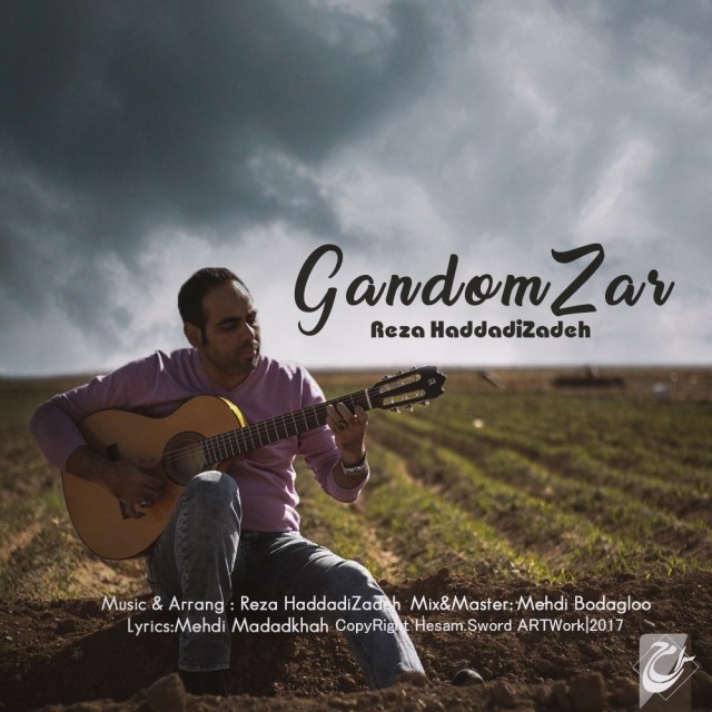 رضا حدادی زاده (ایاد) گندم زار