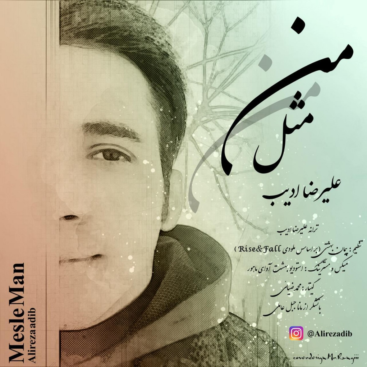 علیرضا ادیب مثل من