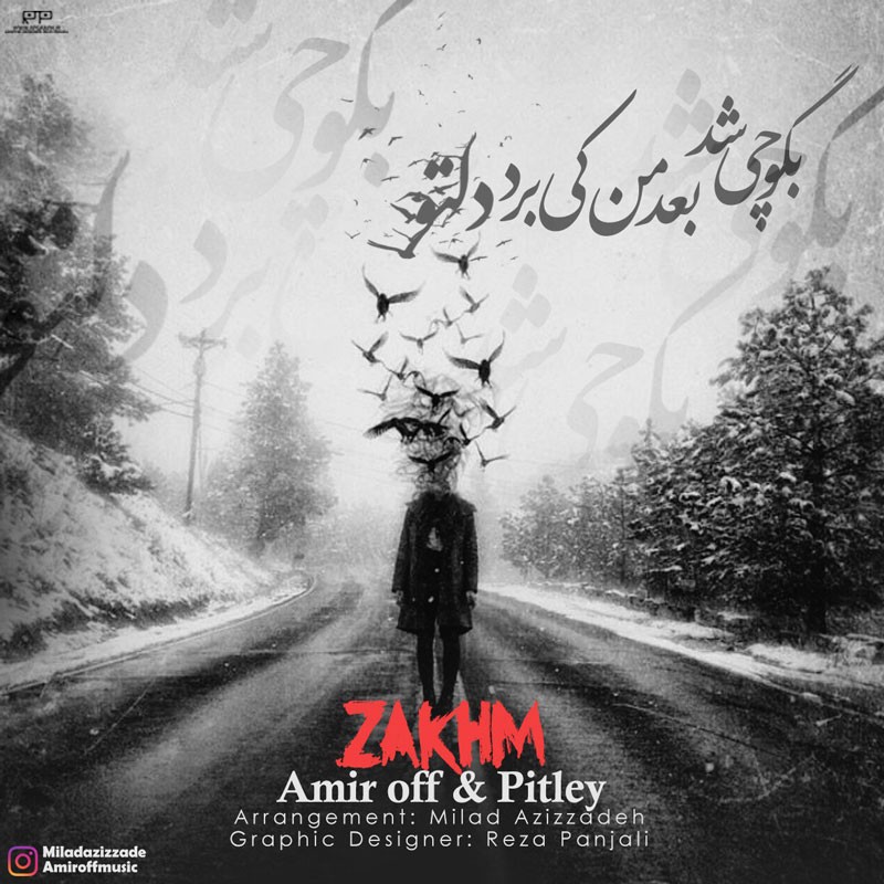 امیر آف و پیتلی