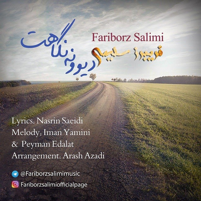 فریبرز سلیمی دیوونه نگاهت