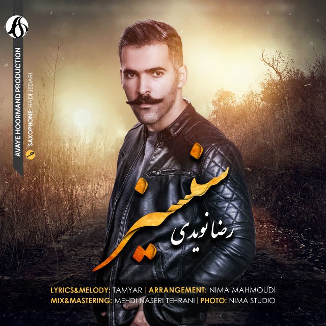 رضا نویدی