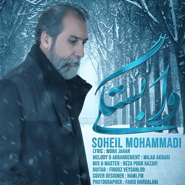 سهیل محمدی وابستگی