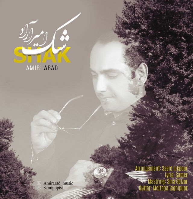امیر آراد شک