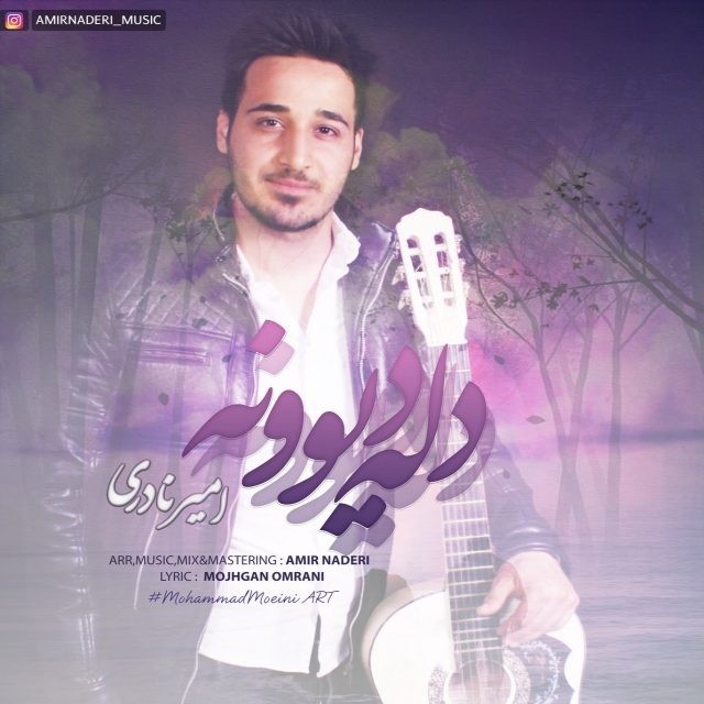 امیر نادری دل دیونه