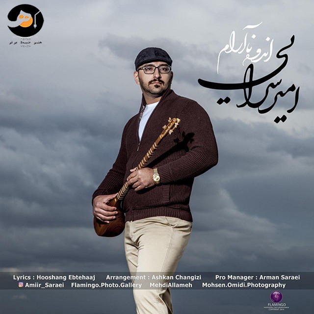 امیر سرایی اندوه نا آرام