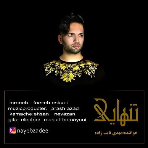 مهدی نایب زاده تنهایی