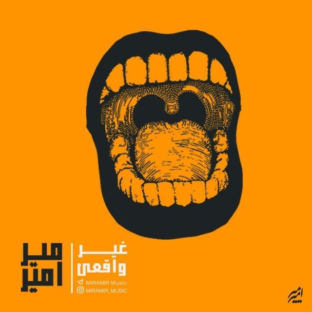 میر امیر