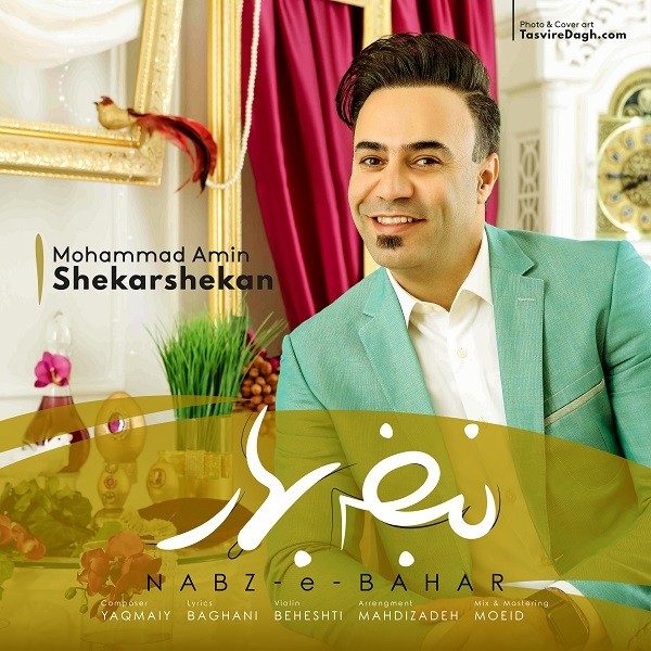 محمد امین شکرشکن