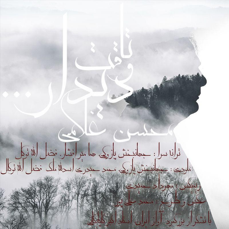 محسن غلامی تا وقت دیدار