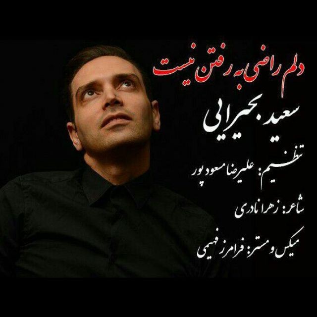 سعید بحیرایی دلم راضی به رفتن نیست