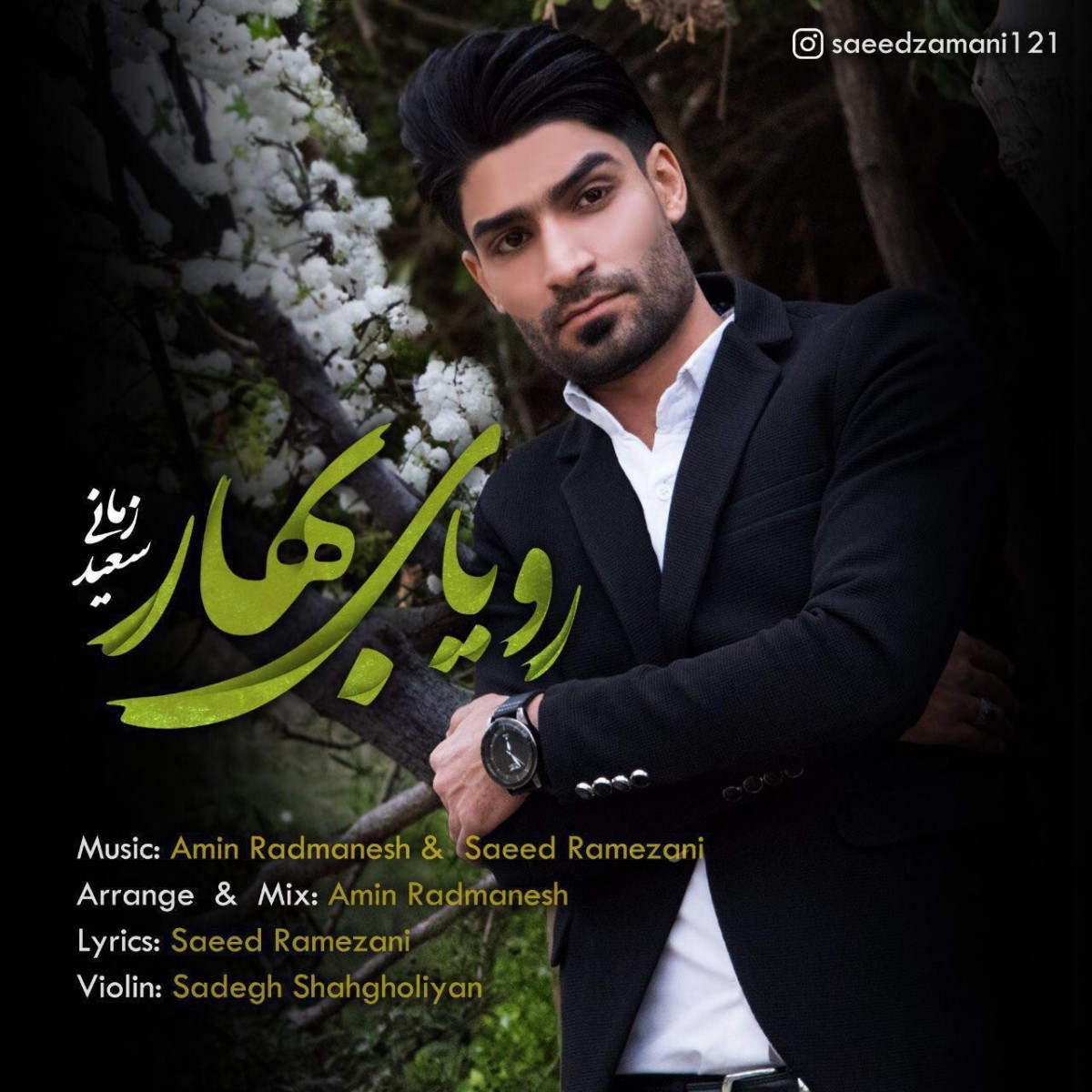 سعید زمانی رویای بهار