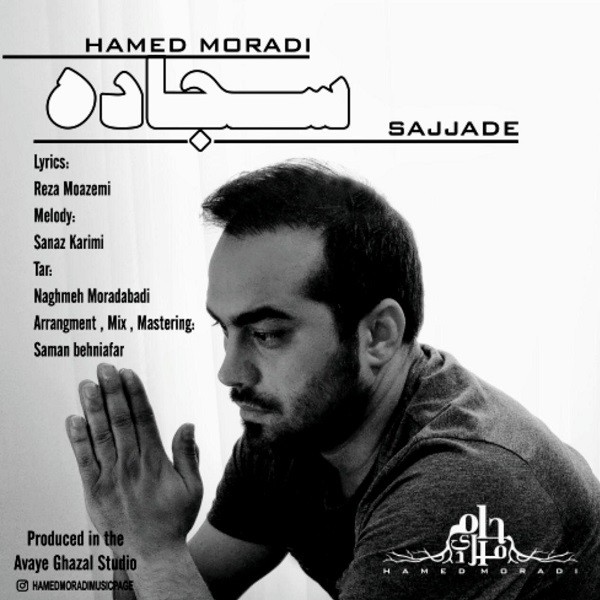 حامد مرادی سجاده