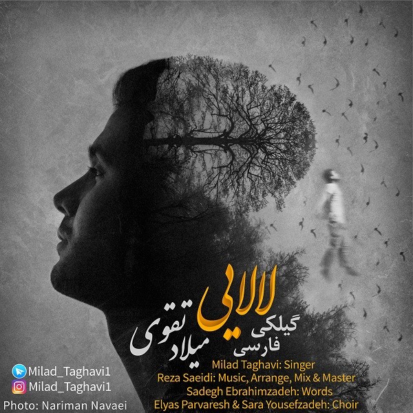 میلاد تقوی