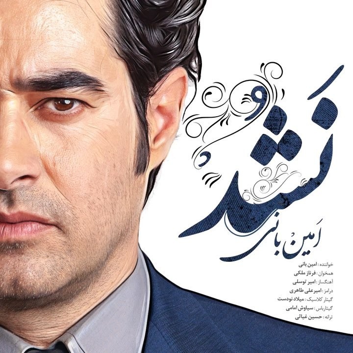 امین بانی نشد