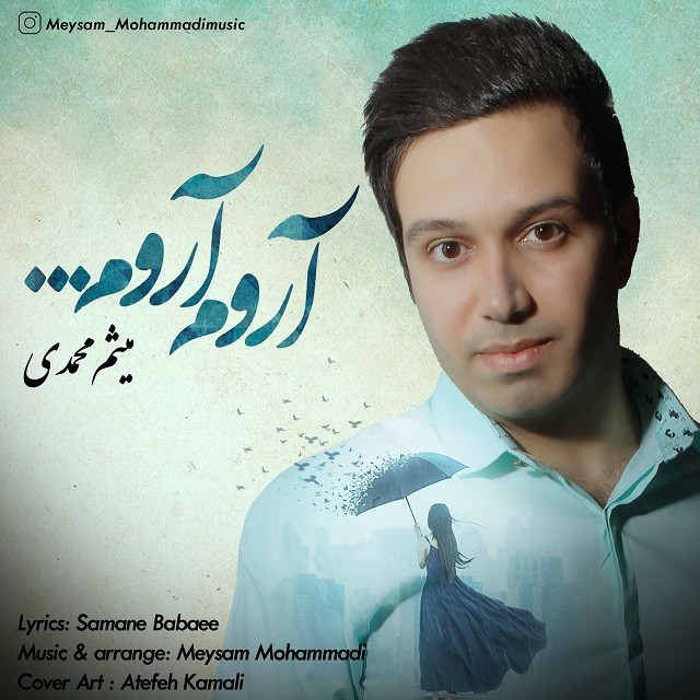 میثم محمدی