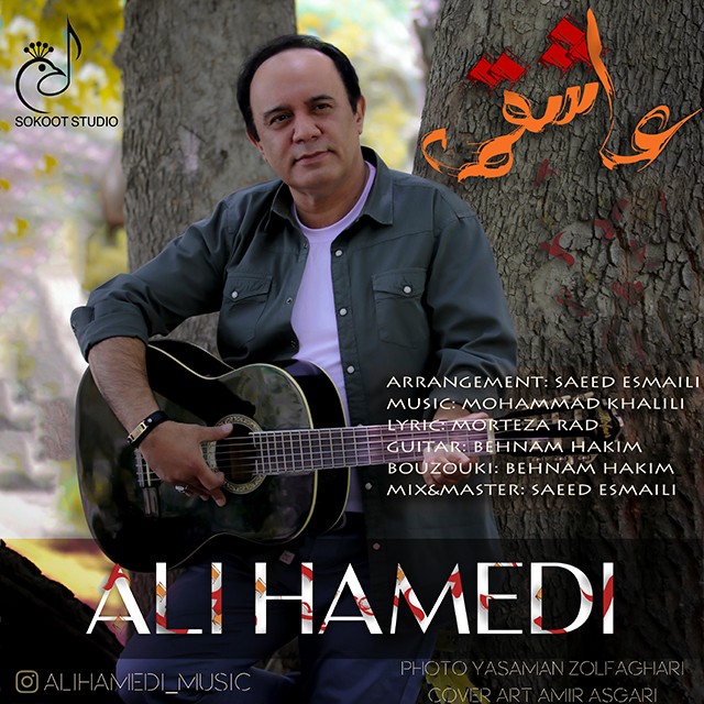 علی حامدی عاشقمه