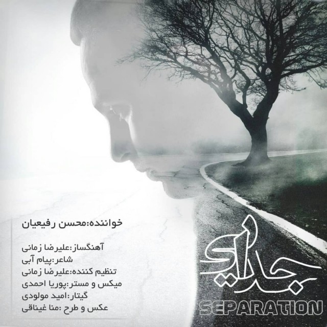 محسن رفیعیان جدایی
