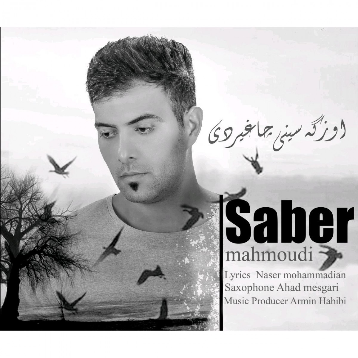 صابر محمودی اوزگسینی چاغیزدی