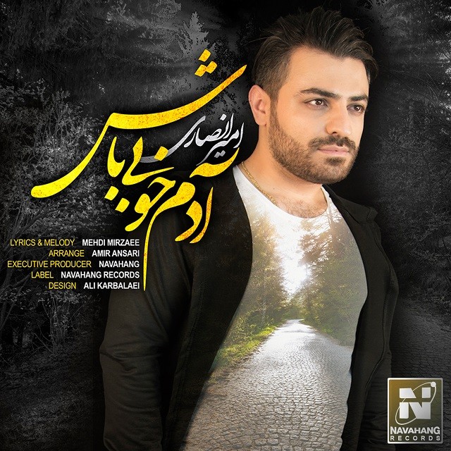 امیر انصاری آدم خوبی باش
