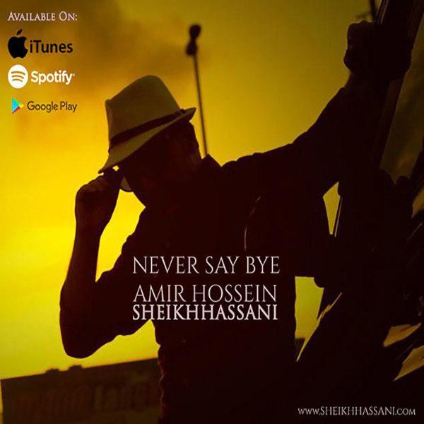 امیرحسین شیخ حسنی Never Say Bye