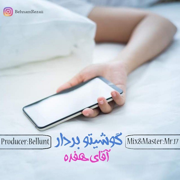 آقای هفده گوشیتو بردار