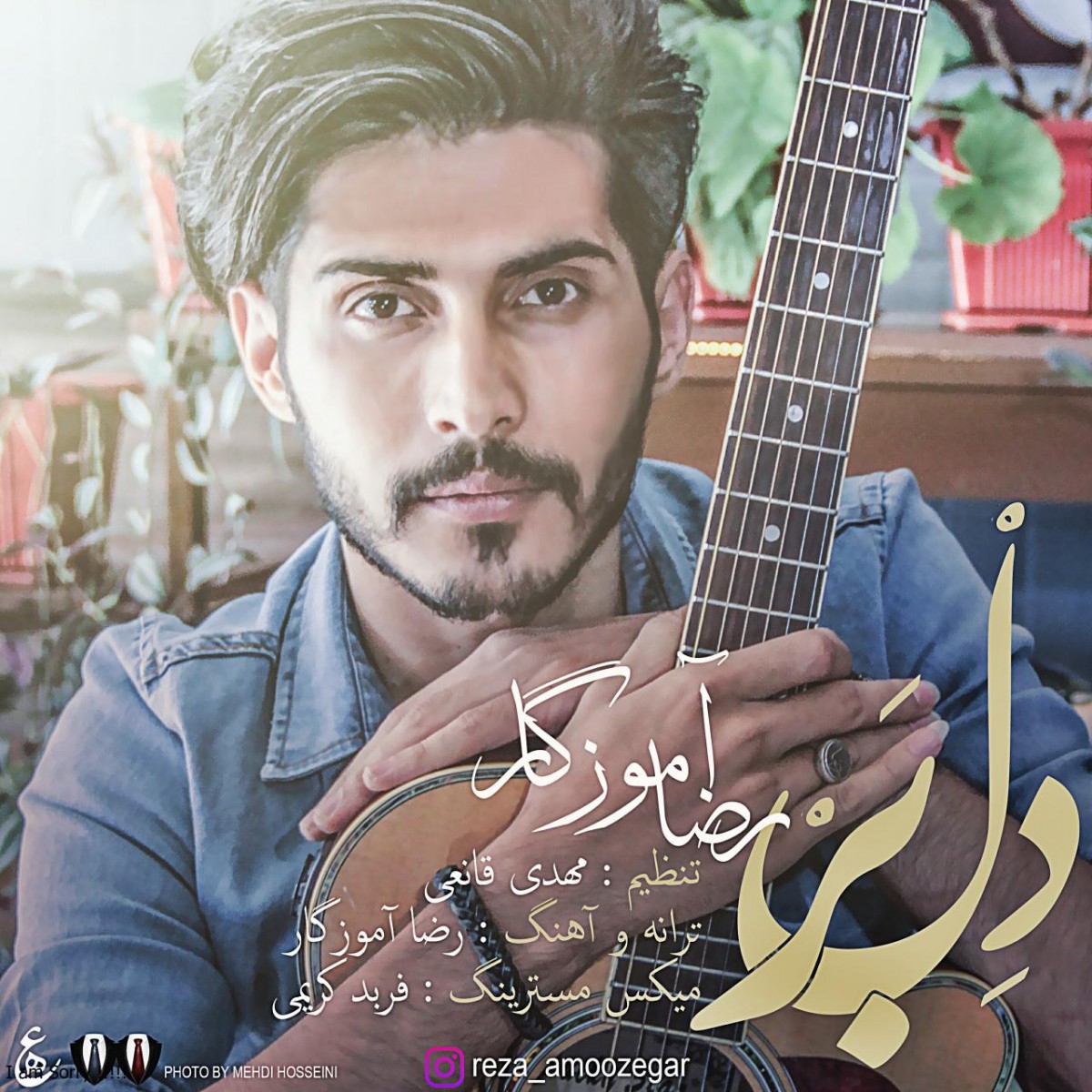 رضا آموزگار دلبر