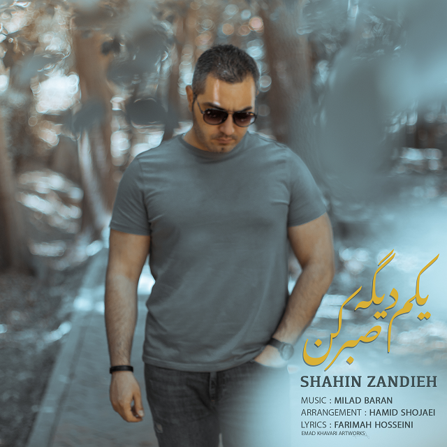 شاهین زندیه یکم دیگه صبر کن