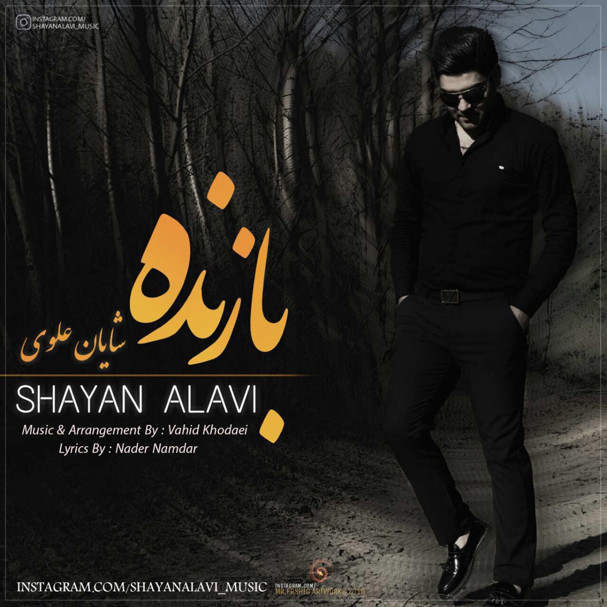شایان علوی بازنده