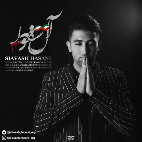 سیاوش حسنی
