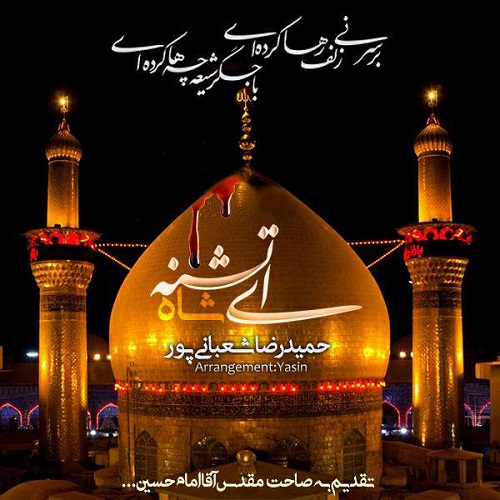 حمیدرضا شعبانی پور ای شاه تشنه