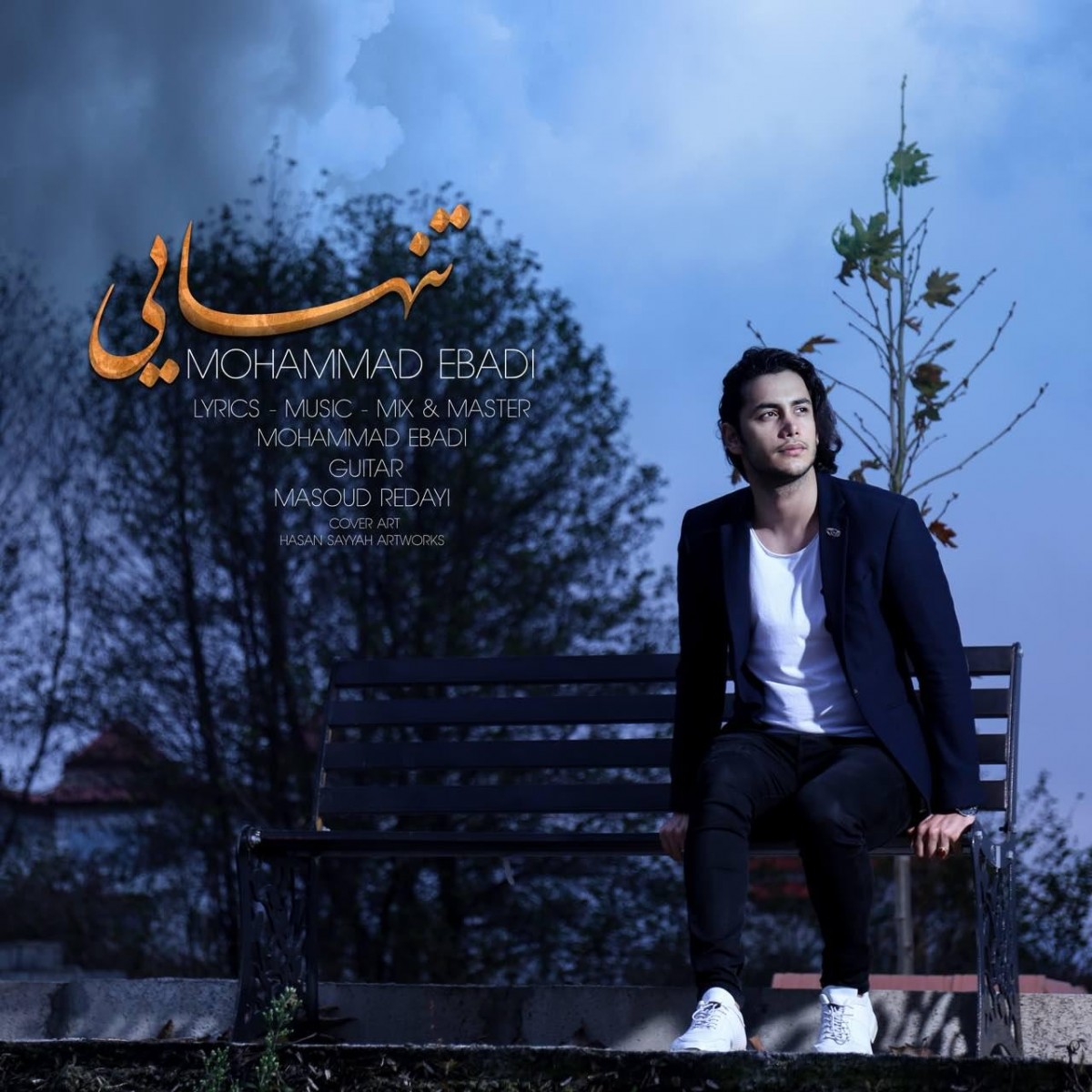 محمد عبادی