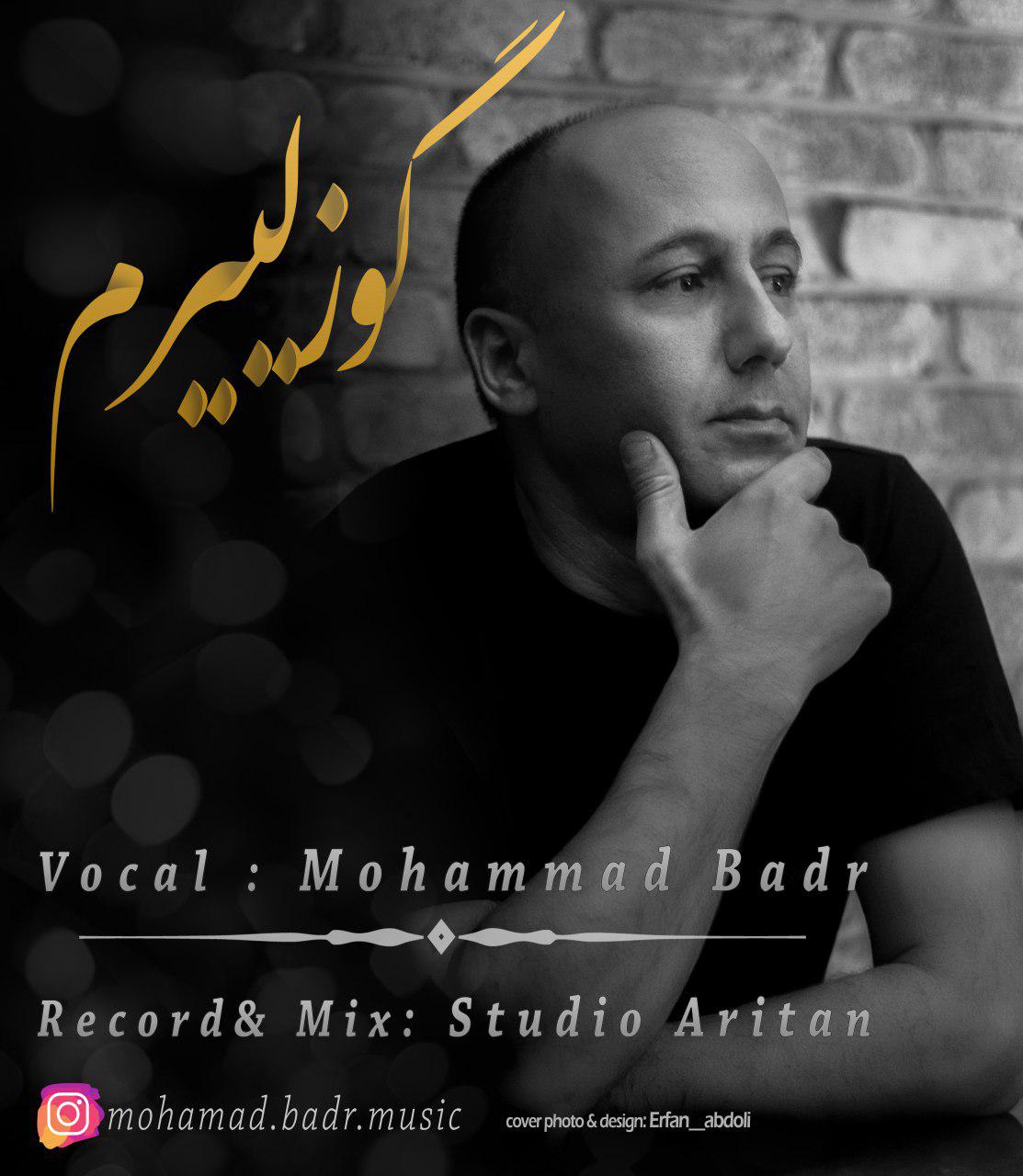 محمدرضا بدر گوزلییرم
