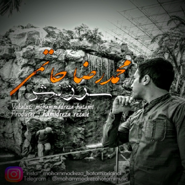 محمدرضا حاتمی سرزنش