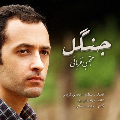مجتبی قربانی جنگل