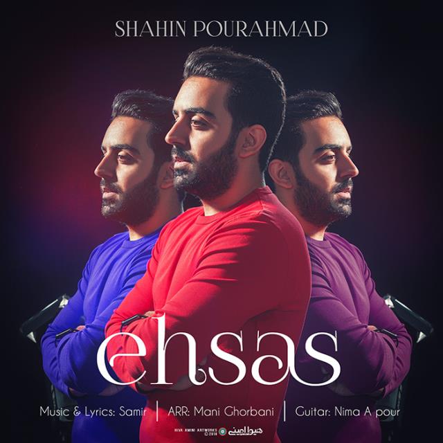 شاهین پوراحمد