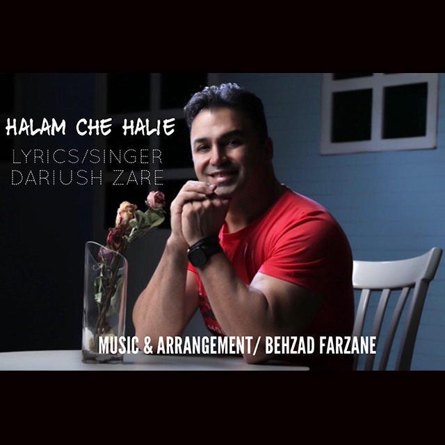 داریوش زارع حالم چه حالیه