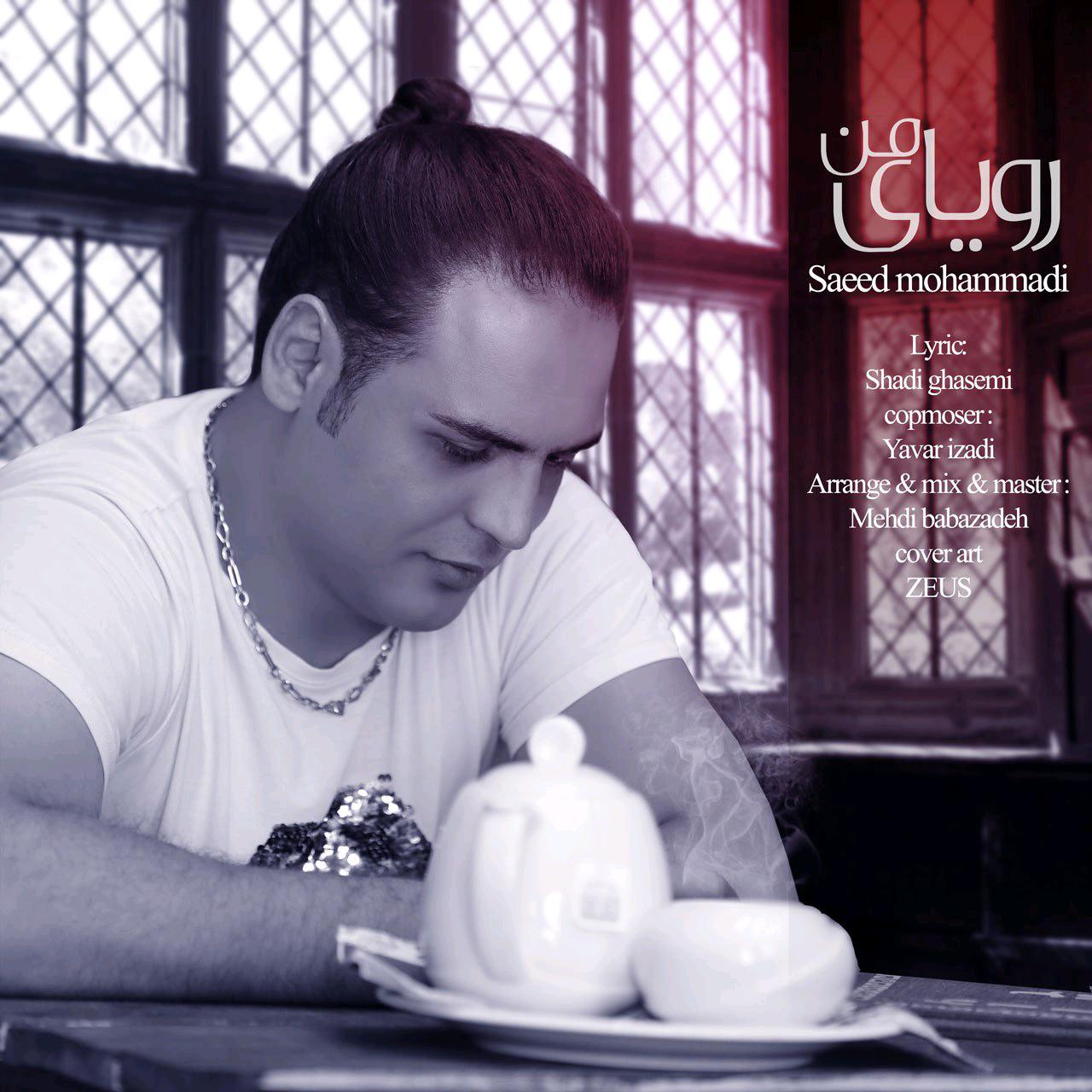 سعید محمودی