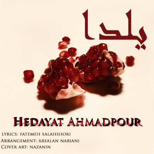 هدایت احمد پور
